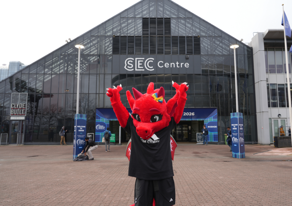 Team Wales have unveiled Gwen the Dragon as their new Commonwealth Games Mascot.