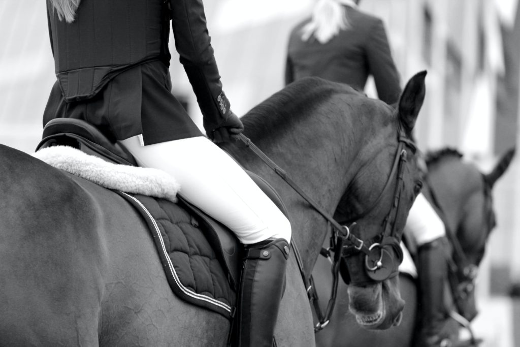 British Dressage reveal the benefits they've felt from WSA membership